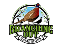 Branching Out Hunting Preserve